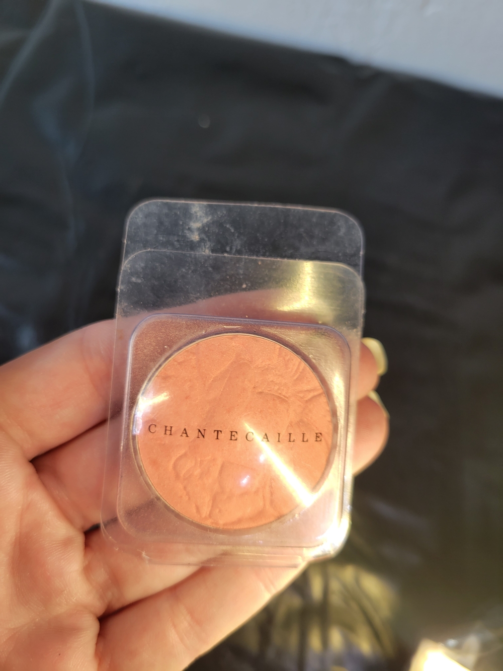 Chantecaille Cheek Shade Emotion Pressed Powder Blush Single 0.08 oz